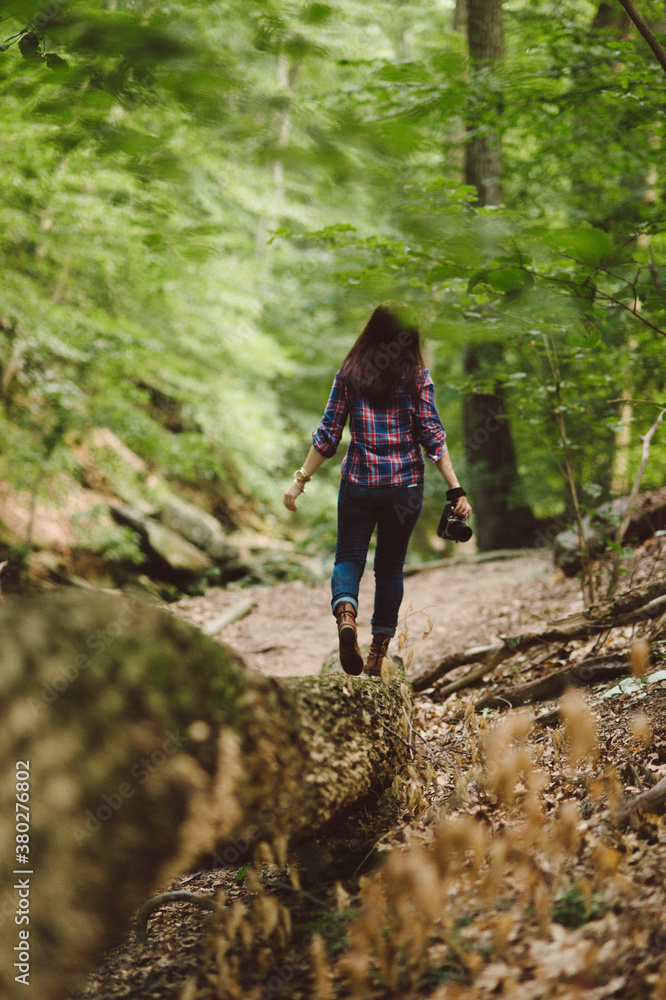 Nature photographer photographing in the woods Nature photographer photographing in the woods