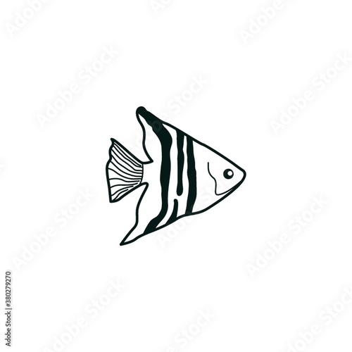 Angelfish