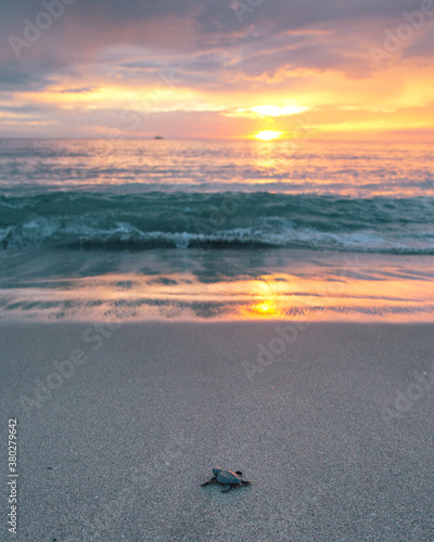 Fotografie Going home