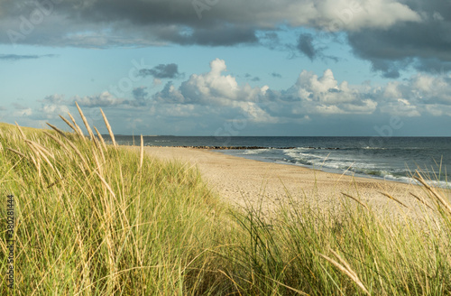 Beach with sand dunes and marram grass, blue sky and clouds in soft evening sunset light. Hvidbjerg Strand, Blavand, North Sea, Denmark.