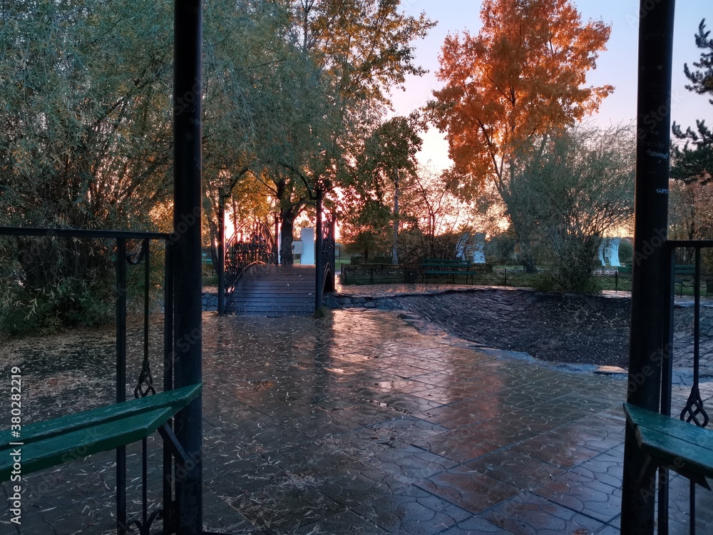 Obraz premium autumn in the park