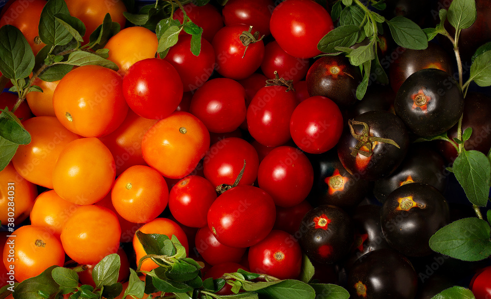 cherry tomatoes, assortment, black, yellow and red, top view, background 