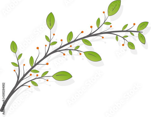Branch with green leaves and orange berries on a white background