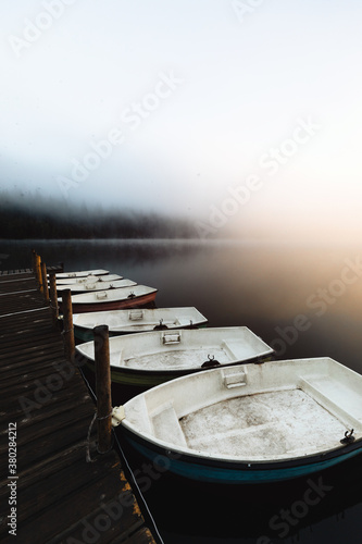 Foggy sunrise in the wilder...