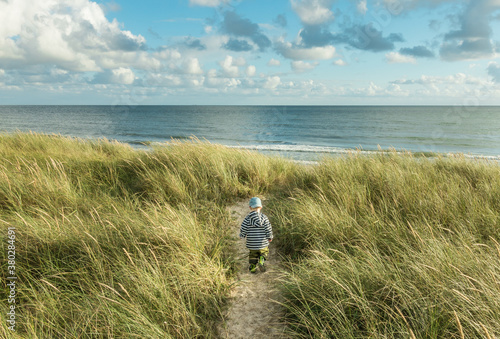 Little 2 year old Boy walking on sand dune path with marram grass to ocean beach. Hvidbjerg Strand, Blavand, North Sea, Denmark.