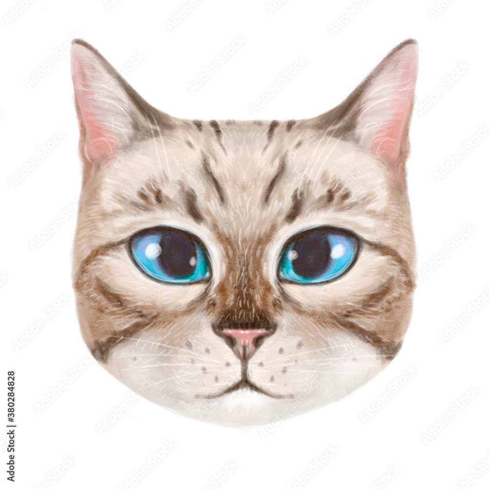 illustration of a cute light tabby cat. Feline pleasant light charming portrait. Cat with blue eyes and light coat looking straight illustration of a cute light tabby cat. Feline pleasant light charming portrait. Cat with blue eyes and light coat looking straight