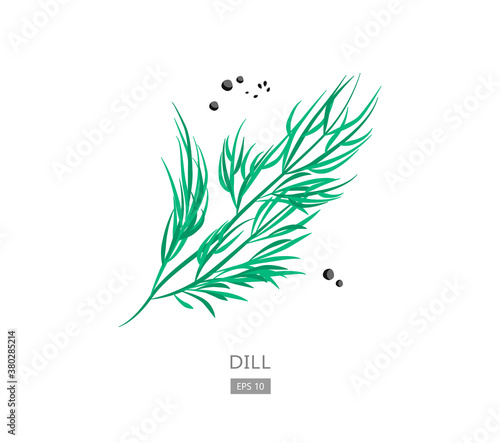 Green dill illustration. Dill weed isolated on white background vector EPS 10 illustration.
