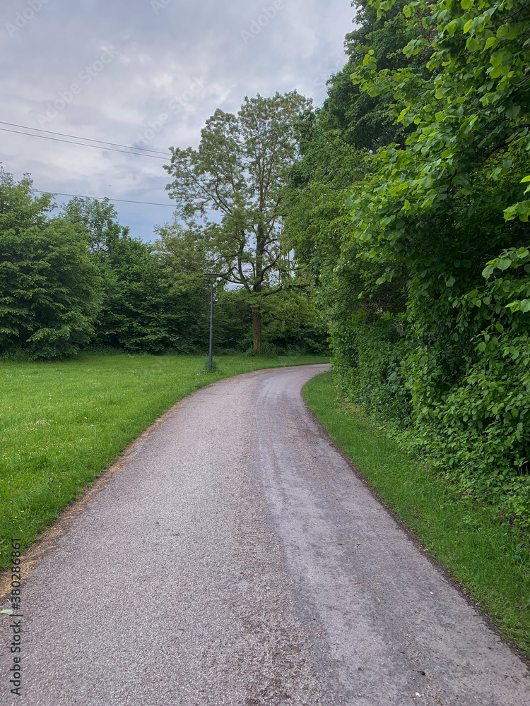 Cozy road in the forest in Munich Germany Cozy road in the forest in Munich Germany