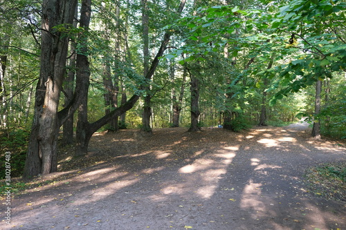 Fototapeta Naklejka Na Ścianę i Meble -  Old Park in early autumn (Osinovaya Roscha, North of Saint Petersburg)