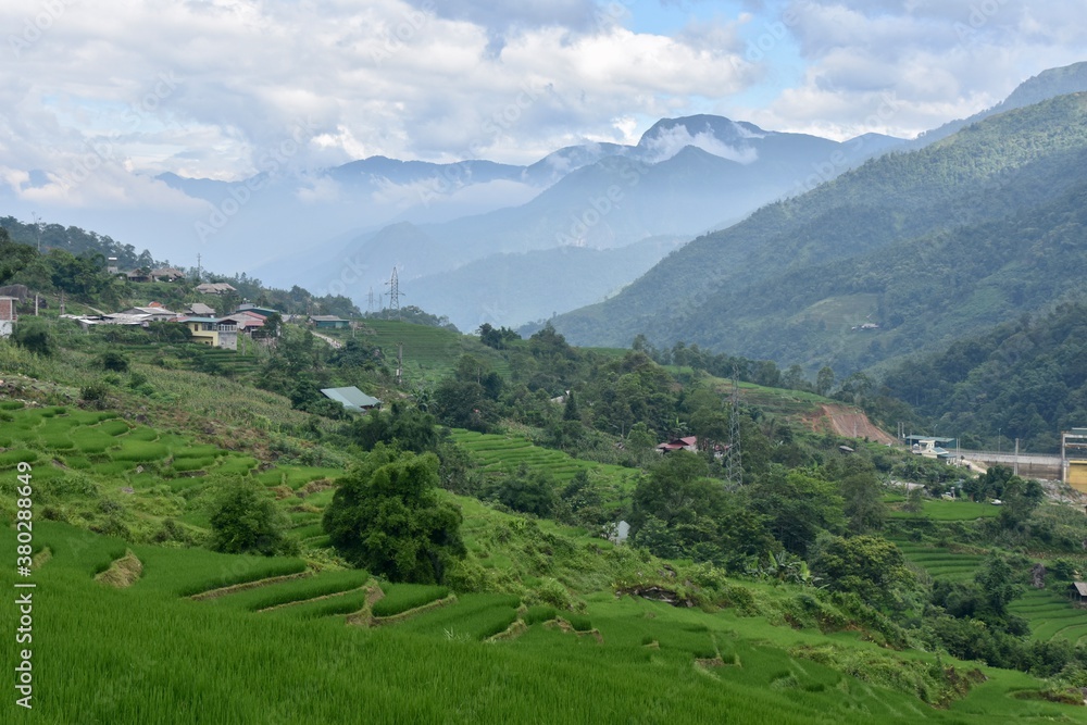 Wide Panorama of Rice Terraces and Mountains near Sa Pa, Vietnam
