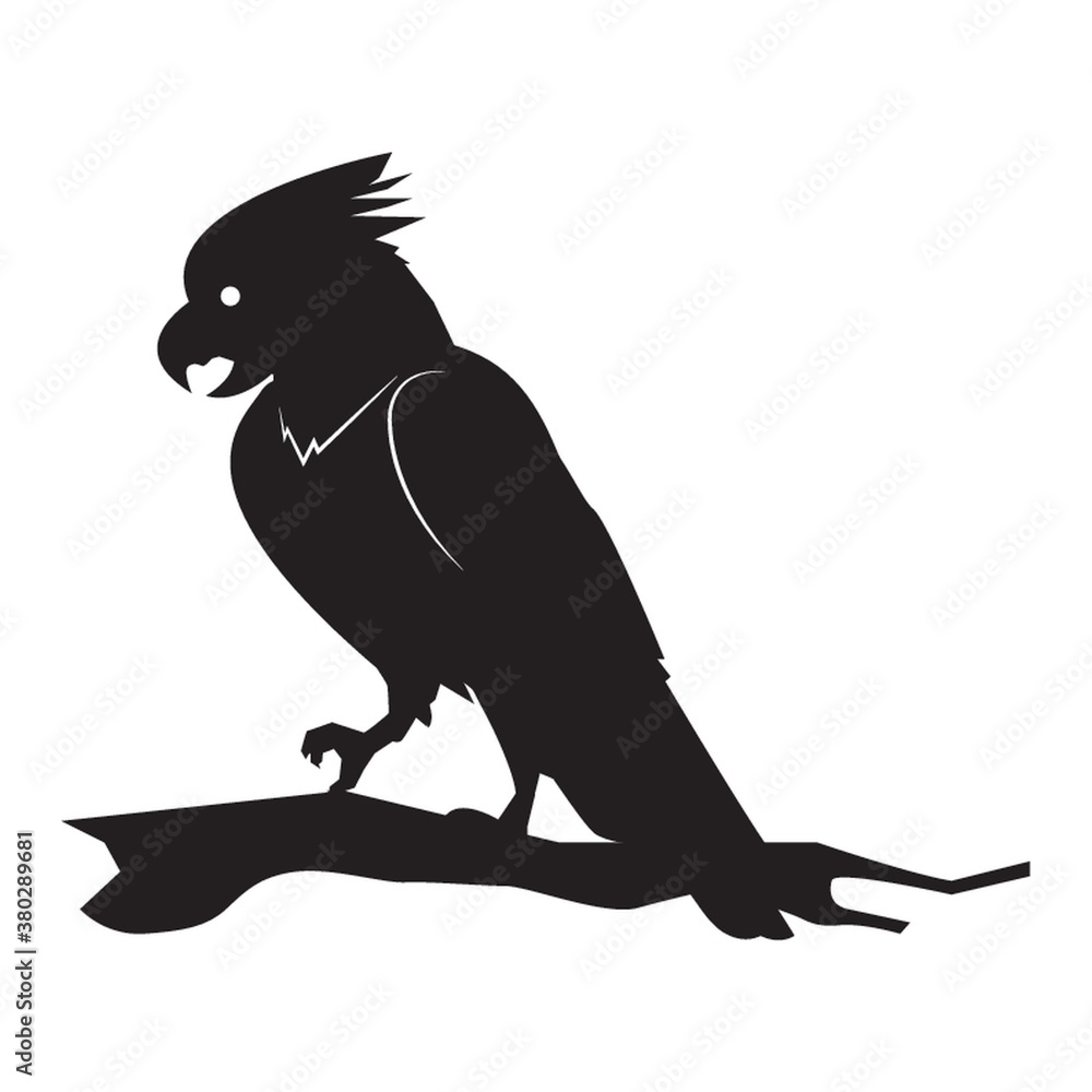Fototapeta premium silhouette of bird