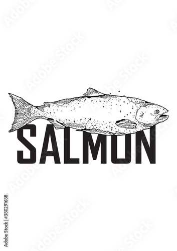 Salmon