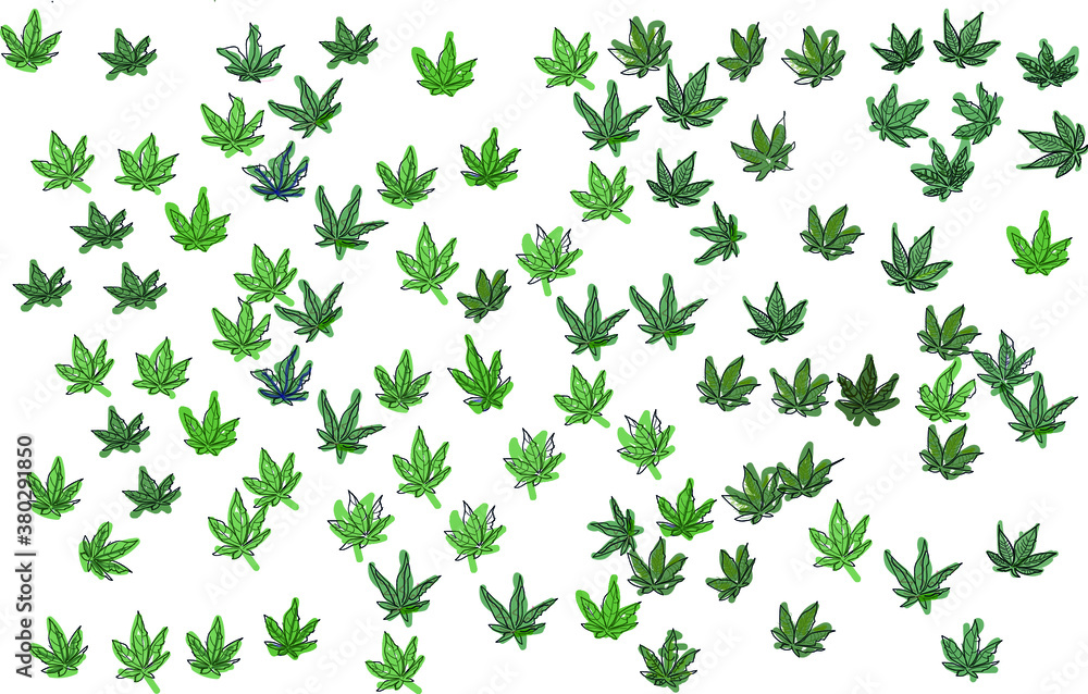 green cannabis leaves background. medical hemp green cannabis leaves background. medical hemp