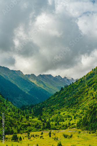 Valley landscape in Tibet, summer time, with forest and grassland on a cloudy day.