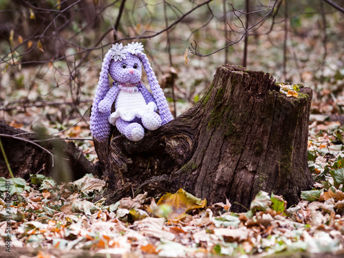 Knitted hare sits on a tree stump in the park. Forgotten toy. 