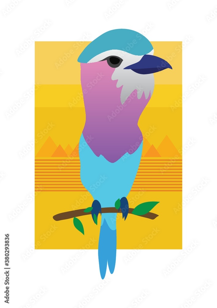 Obraz premium Lilac breasted roller bird
