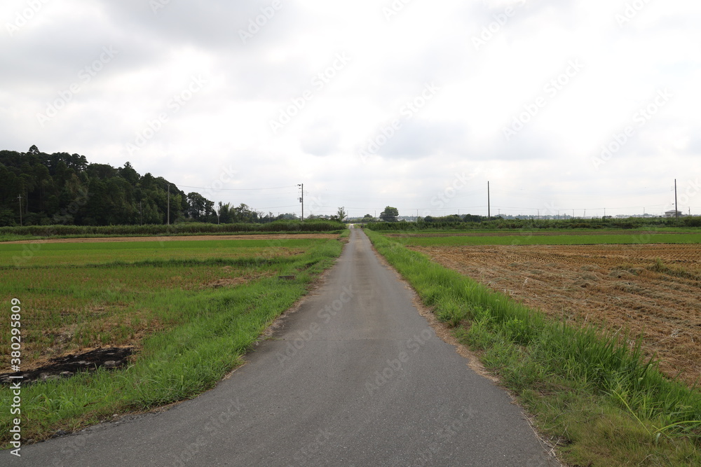 田舎の風景