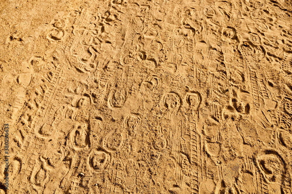 Hoof prints Hoof prints