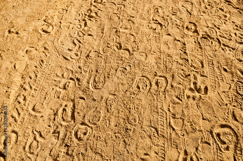 Hoof prints photo