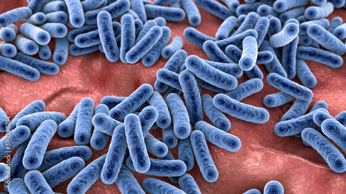 Cuadro en lienzo Bacteria, human microbiome