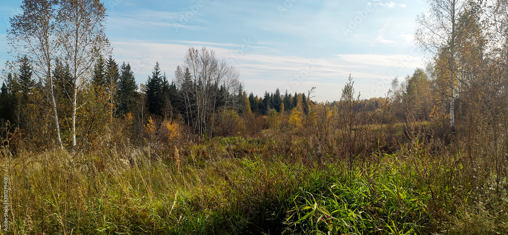 Field in autumn forest in the morning Field in autumn forest in the morning
