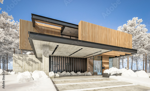 3d rendering of modern cozy house with parking and pool for sale or rent with wood plank facade and beautiful landscaping on background. Cool winter day with shiny white snow.