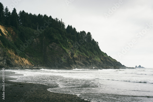 Pacific shore at La Push photo