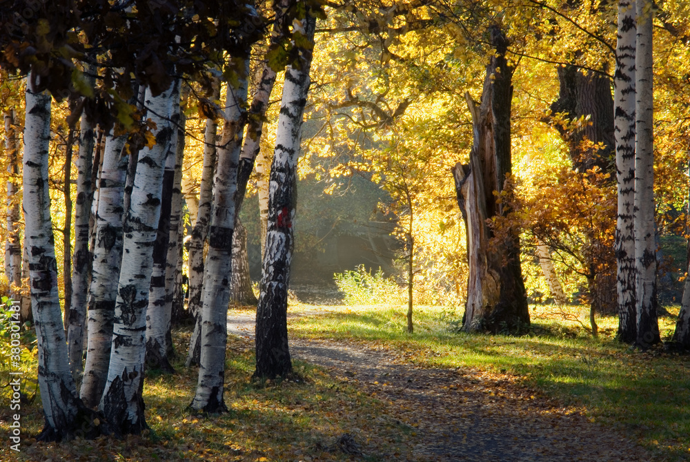 Obraz premium autumn landscape. Russia