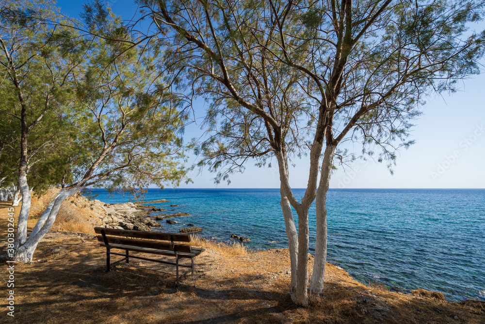 Sitzbank unter Tamarisken Baum an griechischem Strand Sitzbank unter Tamarisken Baum an griechischem Strand