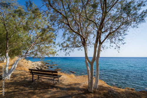 Sitzbank unter Tamarisken Baum an griechischem Strand 