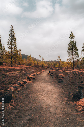 Empty gravel path way near El Teide 