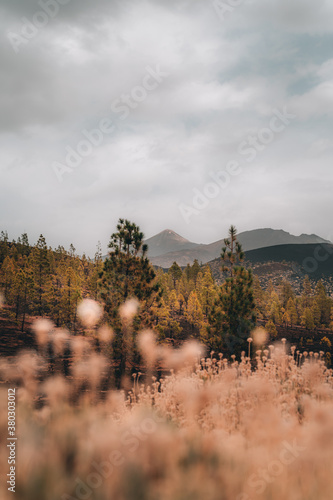 El Teide Volcano From Distance 