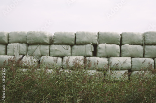 Grass bales in plastic stored at a farm photo