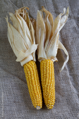Corn