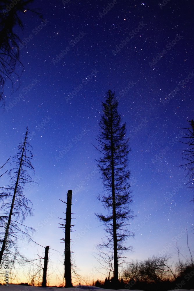 stunning starry night silhouette sceneries stunning starry night silhouette sceneries