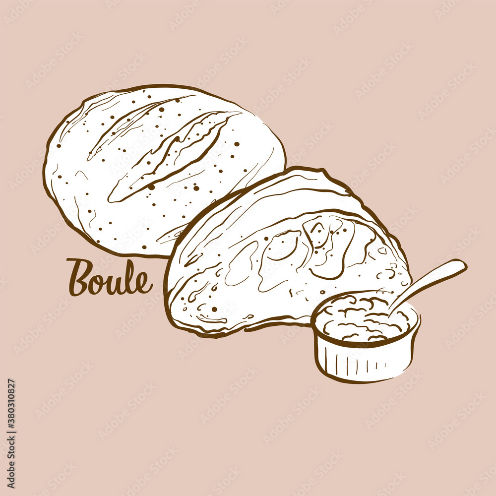 Hand-drawn Boule bread illustration Hand-drawn Boule bread illustration