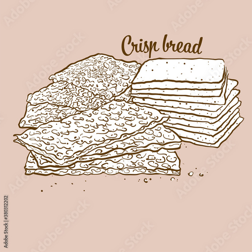 Hand-drawn Crisp bread bread illustration