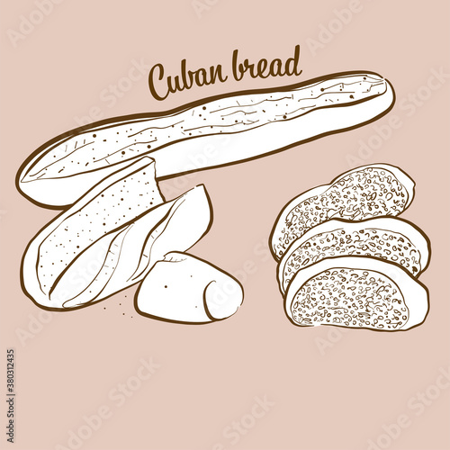 Hand-drawn Cuban bread bread illustration