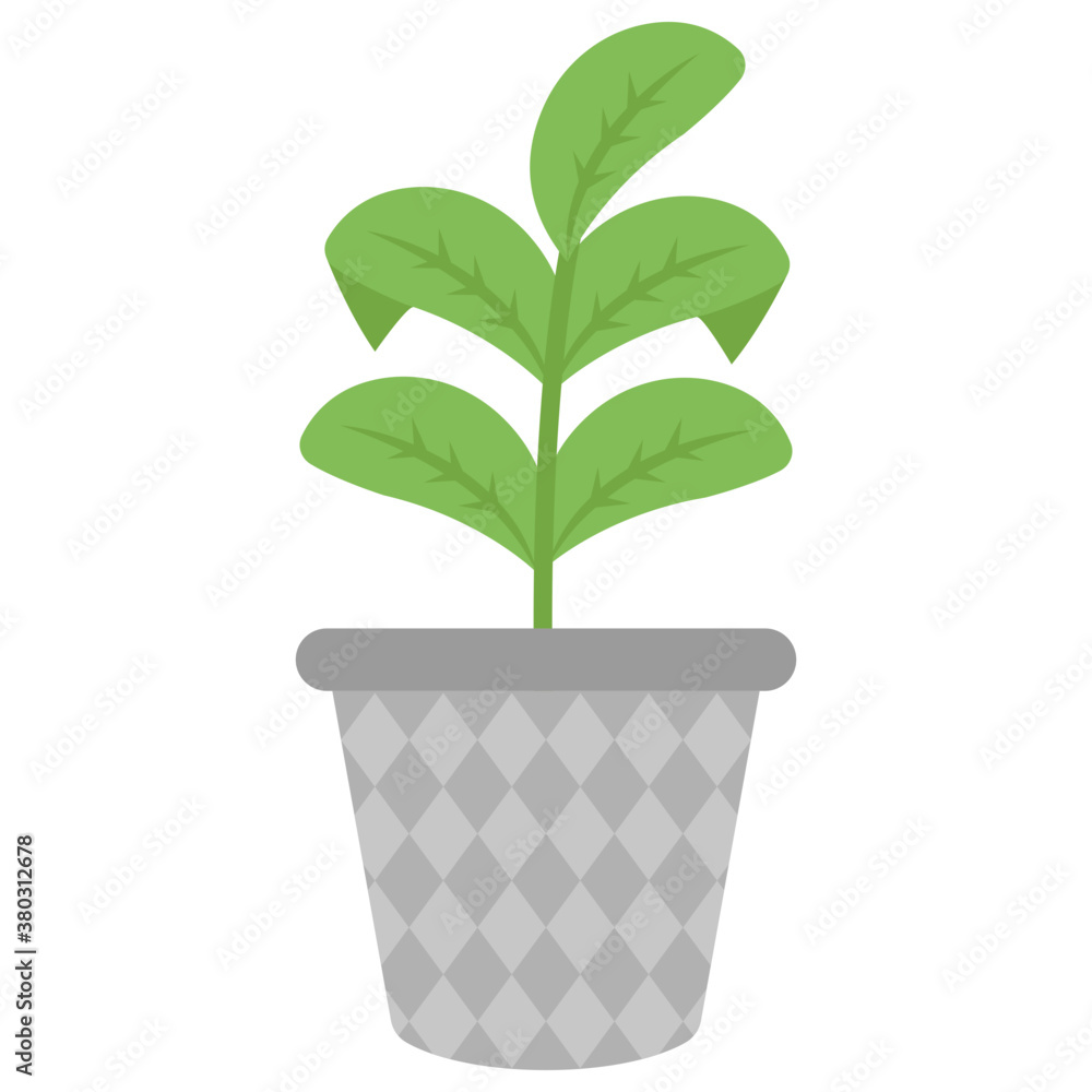 Plant Plant