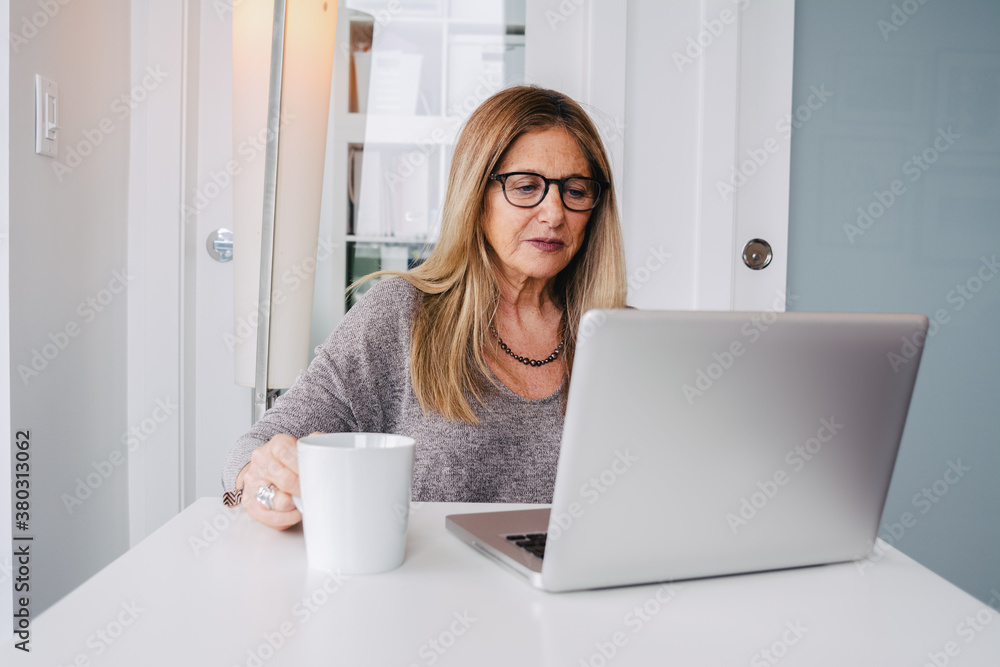 Senior Woman in Home Office Senior Woman in Home Office
