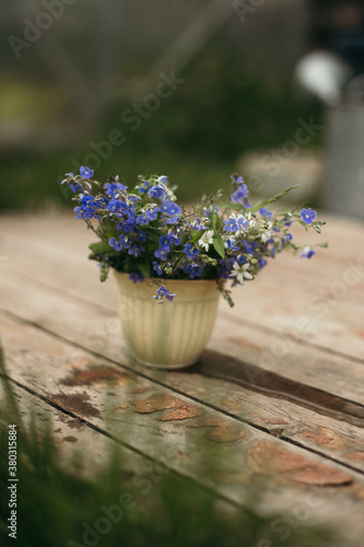 blue forget-me-nots in a small vase
