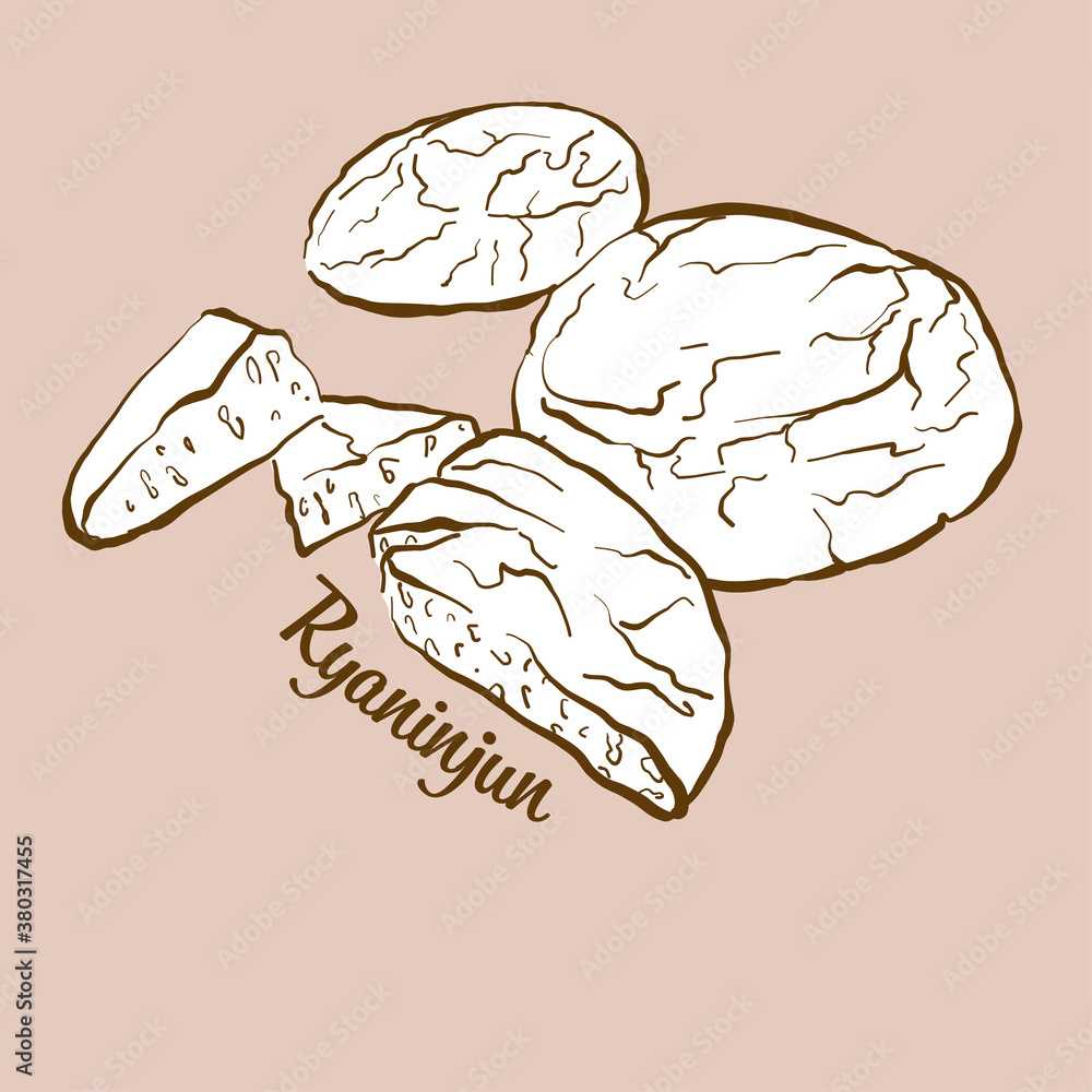 Hand-drawn Ryaninjun bread illustration Hand-drawn Ryaninjun bread illustration