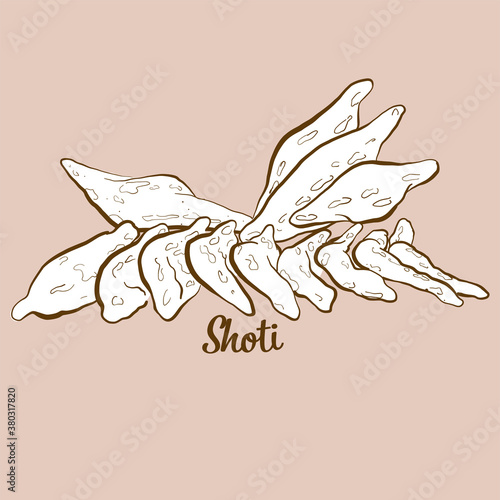Hand-drawn Shoti bread illustration