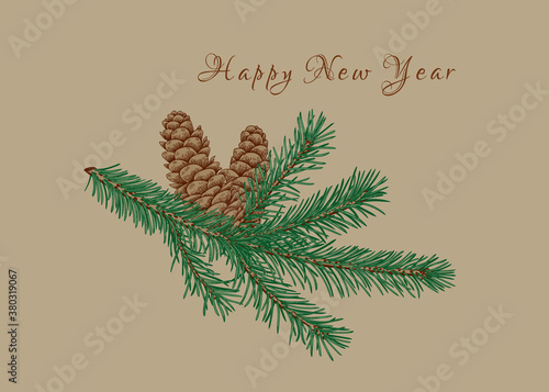 Botanical card with fir branch and cones. Vector illustration. Beige background and colorful pattern.