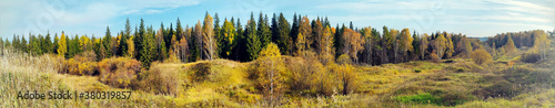 autumn forest panorama