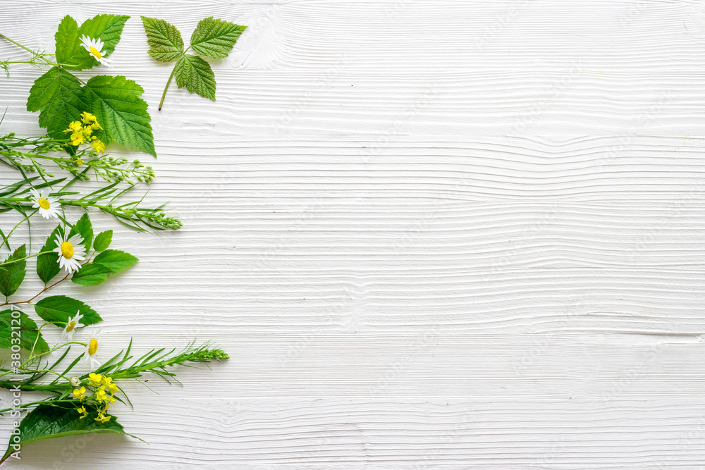 Fresh medicinal herbs and wild flowers top view