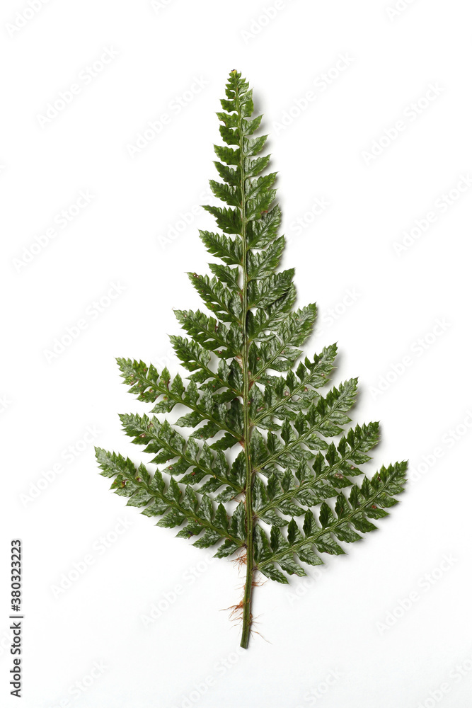 Alternative Christmas card