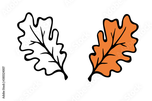 vector hand-drawn cartoon orange oak leaf. isolated on a white background. autumn element. graphic icon. coloring book with a color example.