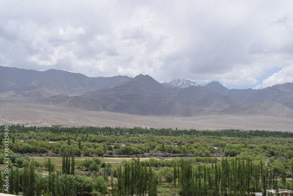 landscape with trees Leh Ladakh beauty greenery from the top of the mountians