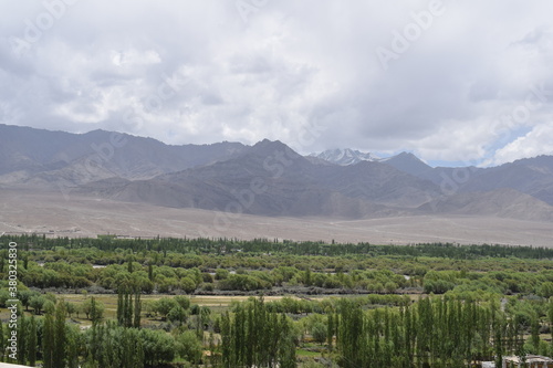 landscape with trees Leh Ladakh beauty greenery from the top of the mountians © suchit